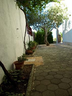 Appartement de vacances �/en/au Pisak (Splitsko-Dalmatinska)ou appartement ou maison de vacances