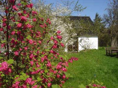 Maison de vacances �/en/au N�sby (Nordjylland)ou appartement ou maison de vacances