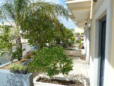 Maison de vacances /en/au Albufeira (Algarve)ou appartement ou maison de vacances