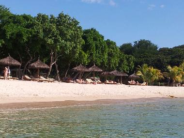 Villa /en/au Albion (Black River)ou appartement ou maison de vacances