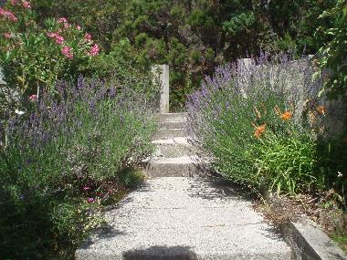 Appartement de vacances �/en/au Rab (Primorsko-Goranska)ou appartement ou maison de vacances