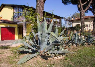 Appartement de vacances /en/au Montegrotto Terme (Padova)ou appartement ou maison de vacances