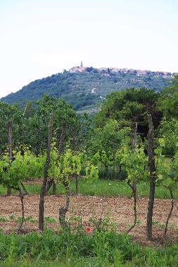 Maison de vacances �/en/au Secovlje (Piran)ou appartement ou maison de vacances