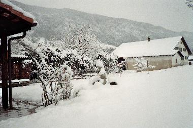 Le jardin en hiver