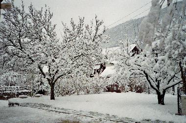 Une autre image du jardin en hiver