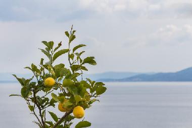 Appartement de vacances /en/au Okrug Gornji (Splitsko-Dalmatinska)ou appartement ou maison de vacances