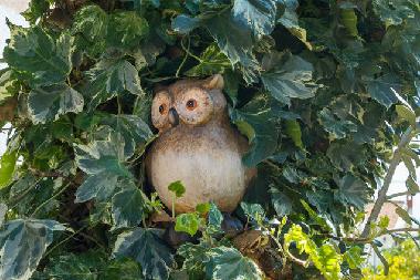 Chambre avec petit d�jeuner �/en/au Okrug Gornji (Splitsko-Dalmatinska)ou appartement ou maison de vacances