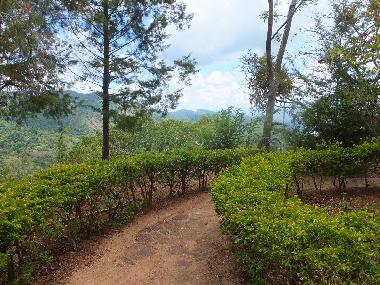 Chambre avec petit djeuner /en/au kandy (Kandy)ou appartement ou maison de vacances