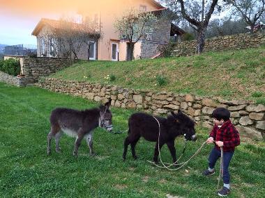 Maison de vacances /en/au Monte San Savino (Arezzo)ou appartement ou maison de vacances