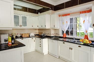 Villa �/en/au Albufeira (Algarve)ou appartement ou maison de vacances