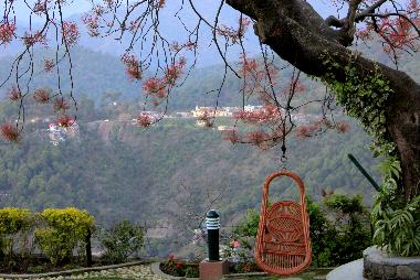 Maison de vacances �/en/au Kasauli (Himachal Pradesh)ou appartement ou maison de vacances