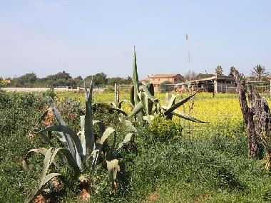 Maison de vacances /en/au Campos (Mallorca)ou appartement ou maison de vacances