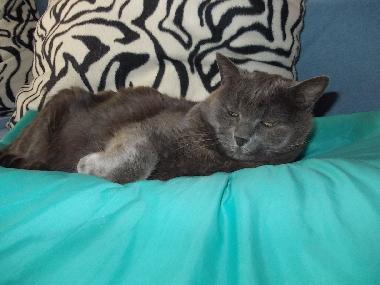 Appartement de vacances /en/au Toscolano Maderno (Brescia)ou appartement ou maison de vacances