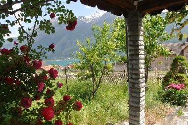 Appartement de vacances �/en/au Brienz (Brienz-Meiringen-Hasliberg)ou appartement ou maison de vacances