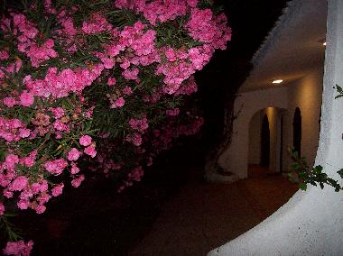 Villa /en/au Torre delle stelle (Cagliari)ou appartement ou maison de vacances