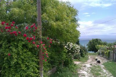 Maison de vacances �/en/au Balchik (Dobrich)ou appartement ou maison de vacances