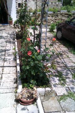 Maison de vacances �/en/au Balchik (Dobrich)ou appartement ou maison de vacances