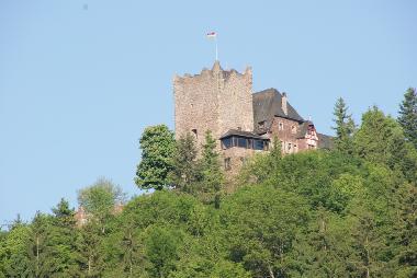 Appartement de vacances �/en/au Alf (Mosel - Saar)ou appartement ou maison de vacances