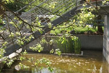 Appartement de vacances �/en/au Alf (Mosel - Saar)ou appartement ou maison de vacances