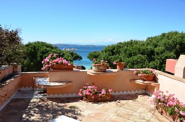 Appartement de vacances /en/au Baja Sardinia (Olbia-Tempio)ou appartement ou maison de vacances