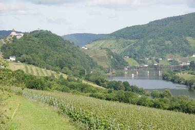 Appartement de vacances �/en/au Alf (Mosel - Saar)ou appartement ou maison de vacances