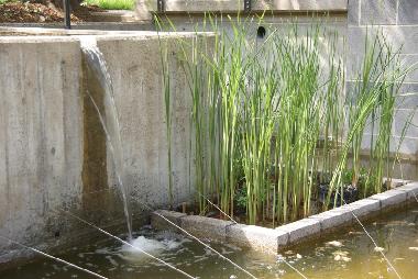 Appartement de vacances �/en/au Alf (Mosel - Saar)ou appartement ou maison de vacances