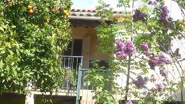 Villa /en/au Calenzana (Haute-Corse)ou appartement ou maison de vacances