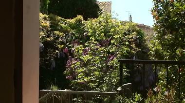 Villa /en/au Calenzana (Haute-Corse)ou appartement ou maison de vacances