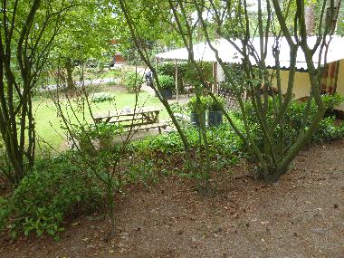 Chalet /en/au Raalte (Overijssel)ou appartement ou maison de vacances