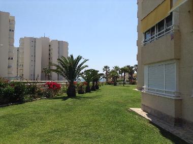 Appartement de vacances /en/au Alicante (Alicante / Alacant)ou appartement ou maison de vacances