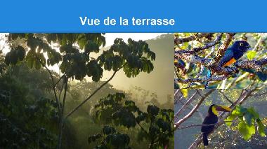Maison de vacances �/en/au Ojochal (Puntarenas)ou appartement ou maison de vacances