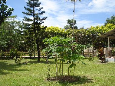 Maison de vacances /en/au Ao Nang (Krabi)ou appartement ou maison de vacances