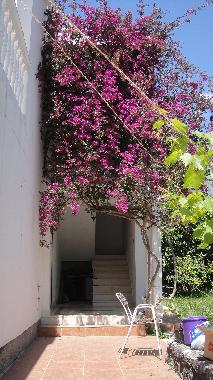 Appartement de vacances �/en/au Budva (Mont�n�gro)ou appartement ou maison de vacances