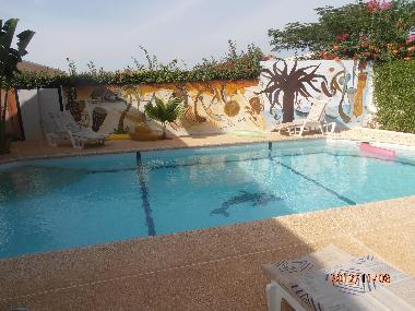 piscine 10m x 5m