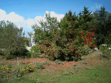 Maison de vacances /en/au Martina Franca (Taranto)ou appartement ou maison de vacances