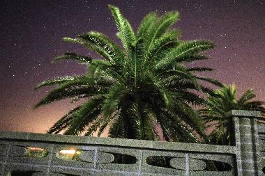 Appartement de vacances /en/au Calasetta (Carbonia-Iglesias)ou appartement ou maison de vacances