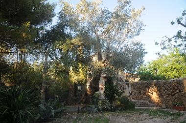 Villa �/en/au Castellabate (Salerno)ou appartement ou maison de vacances