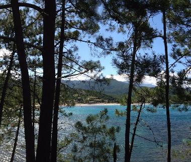 Maison de vacances �/en/au solenzara (Haute-Corse)ou appartement ou maison de vacances