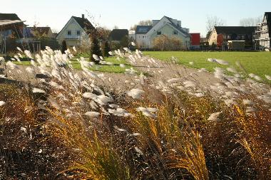 Appartement de vacances �/en/au B�rgerende (Mecklenburgische Ostseek�ste)ou appartement ou maison de vacances