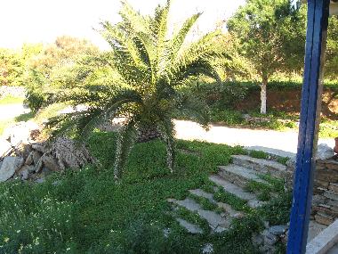 Maison de vacances �/en/au Otzias (Kyklades)ou appartement ou maison de vacances