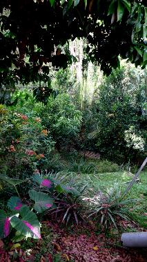 Appartement de vacances �/en/au SAINT ESPRIT (Martinique)ou appartement ou maison de vacances