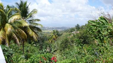 Appartement de vacances �/en/au SAINT ESPRIT (Martinique)ou appartement ou maison de vacances