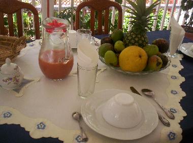 Appartement de vacances �/en/au SAINT ESPRIT (Martinique)ou appartement ou maison de vacances