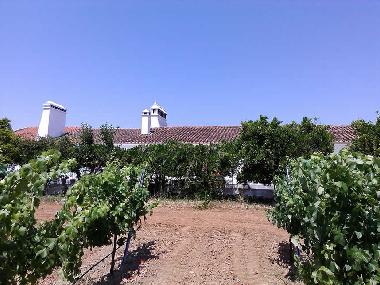 Maison de vacances �/en/au Redondo (Alto Alentejo)ou appartement ou maison de vacances