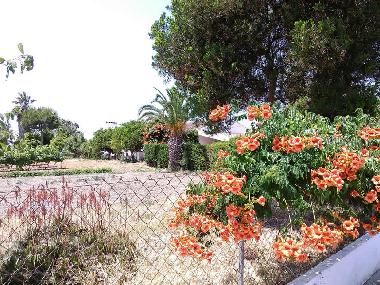 Maison de vacances �/en/au Redondo (Alto Alentejo)ou appartement ou maison de vacances