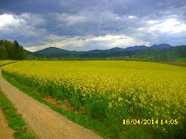 Maison de vacances �/en/au Ponova vas (Ljubljana)ou appartement ou maison de vacances