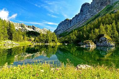 Maison de vacances �/en/au Ponova vas (Ljubljana)ou appartement ou maison de vacances