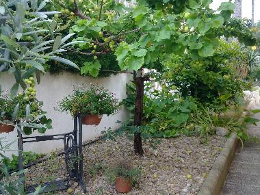 Maison de vacances /en/au El Vendrell (Tarragona)ou appartement ou maison de vacances