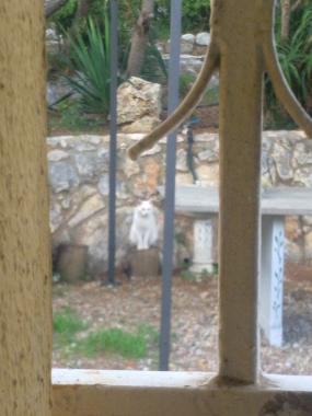 Maison de vacances /en/au El Vendrell (Tarragona)ou appartement ou maison de vacances