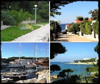 Maison de vacances /en/au Mandre (Zadarska)ou appartement ou maison de vacances